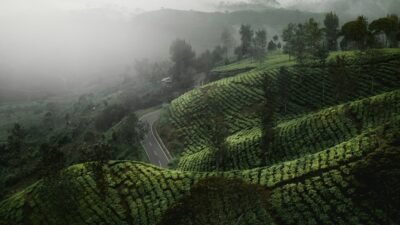 Mobil Masuk Jurang di Sibolangit, Tiga Penumpang Selamat