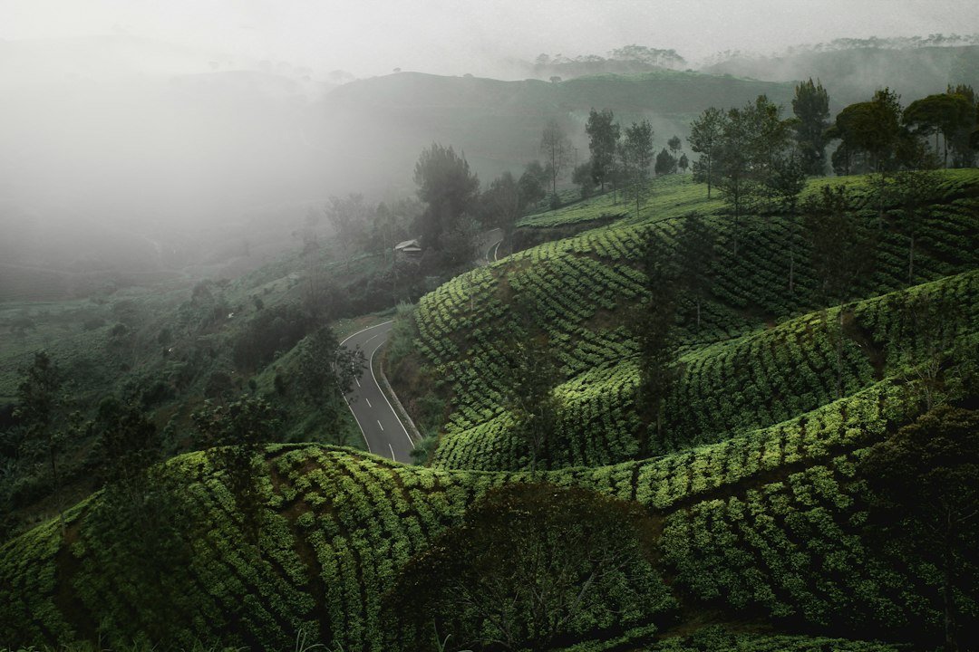Ilustrasi jalan berkelok di kawasan pegunungan