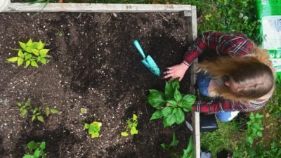 25 Desa di Aceh Tengah Masuk Program Kebun Pangan Perempuan