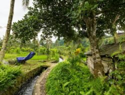 Irigasi Alue Seupeung di Nagan Raya Kembali Berfungsi Setelah Diperbaiki