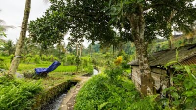 Irigasi Alue Seupeung di Nagan Raya Kembali Berfungsi Setelah Diperbaiki