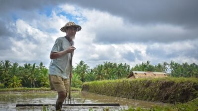 Serapan Gabah Bulog Medan Capai 34.696 Ton, Lampaui Target Tahun 2026