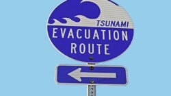Rambu jalur evakuasi tsunami sebagai ilustrasi gladi kesiapsiagaan bencana